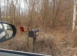 Single Family 3BR 2BA - 8668 W HIGHWAY 136, Chickamauga, GA